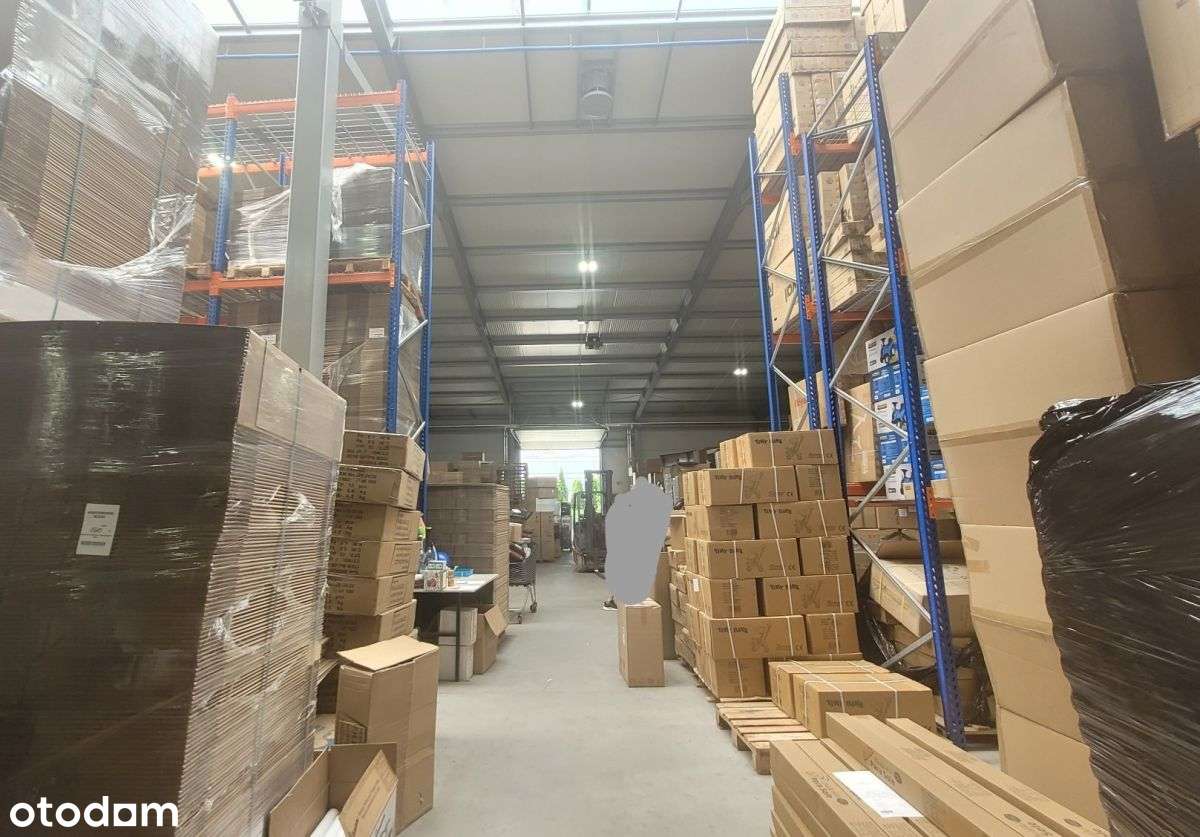 Hala, magazyn, produkcja - Niepołomice - Pełny obrazek: 5/5