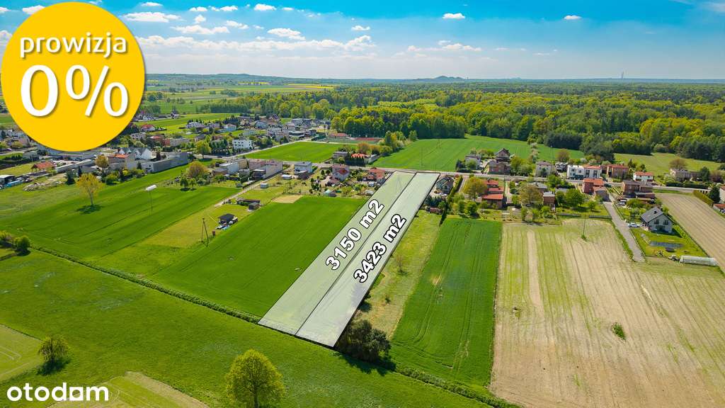 Atrakcyjna działka w zielonych Ornontowicach - Pełny obrazek: 5/10