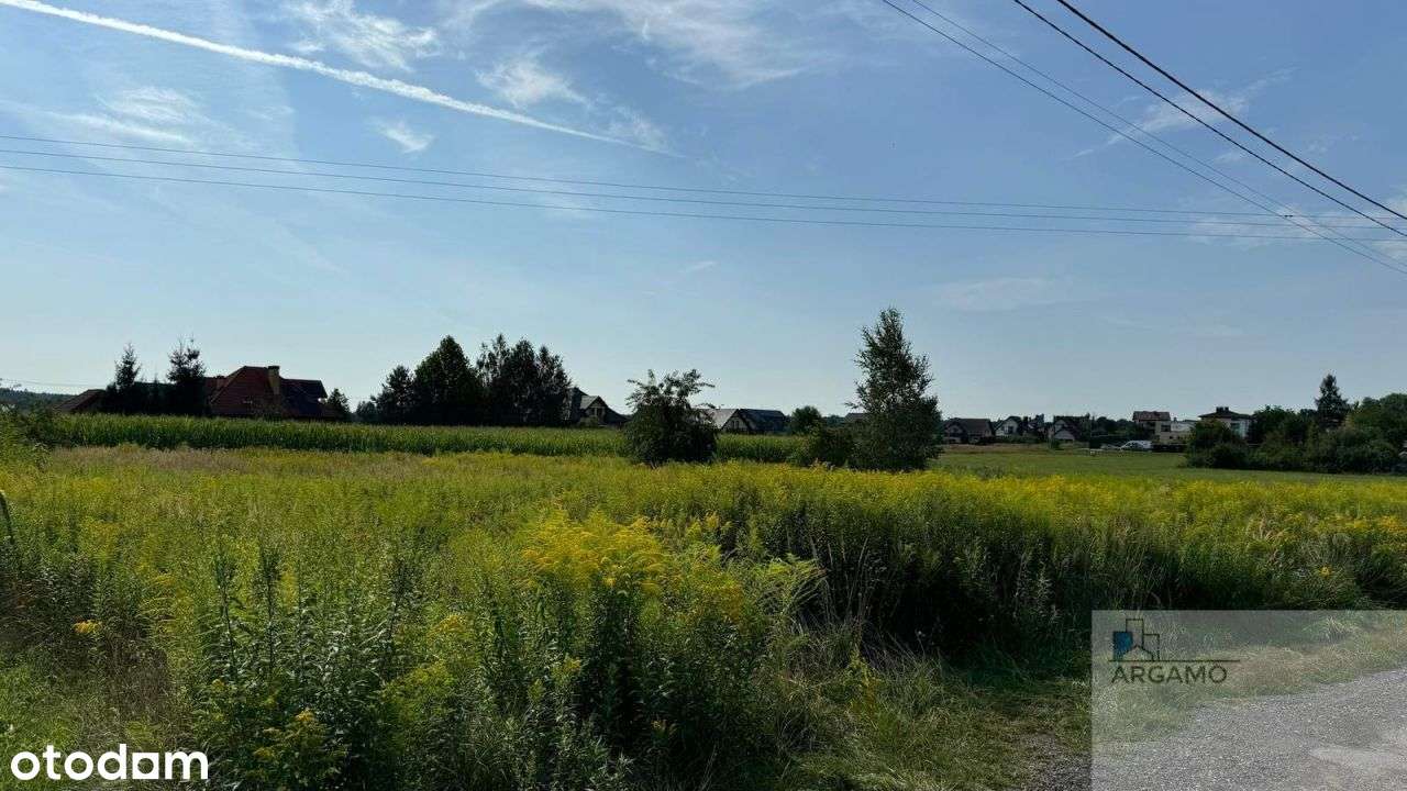 Mysłowice -to miejsce to inwestycja w przyszłość - Pełny obrazek: 4/7