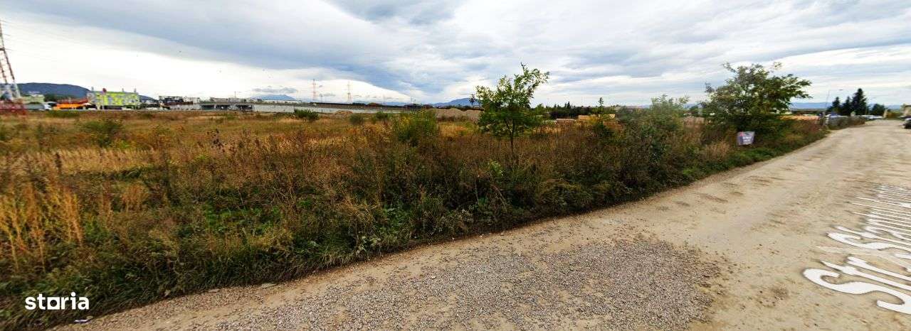 Teren intrare Sanpetru 10.689mp intravilan! - Imagine principală: 4/4