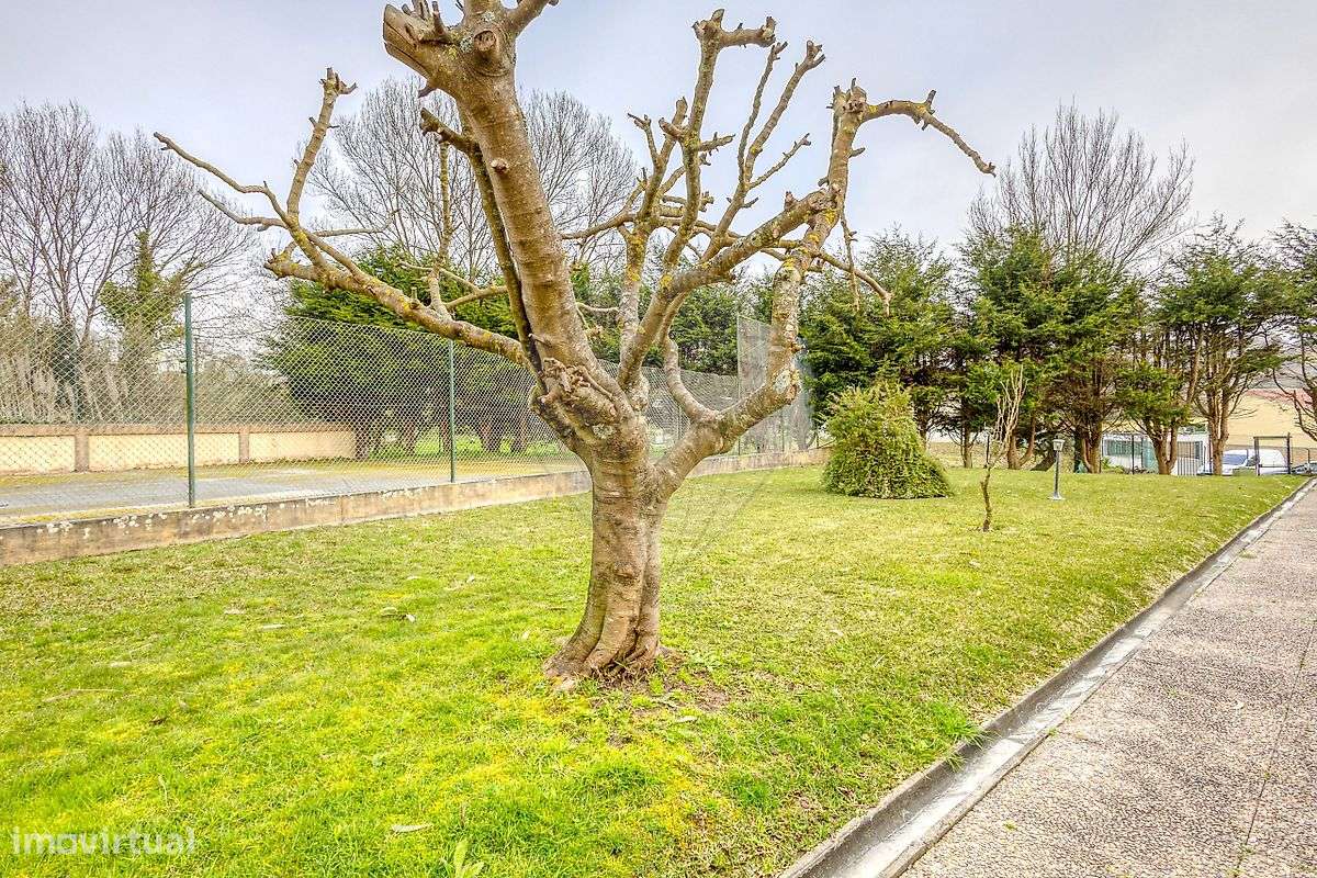 Apartamento T2 para arrendamento - Grande imagem: 3/33