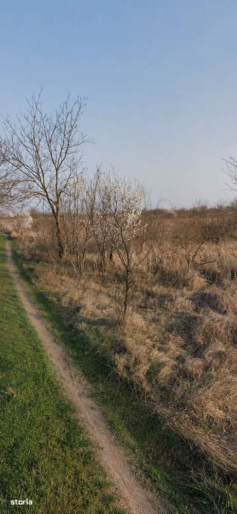 Teren Intravilan 500 mp/ Ideal de Investitie/ Zona Strada Apusului-1