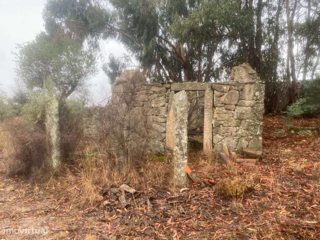 Quintinha - Grande imagem: 4/10