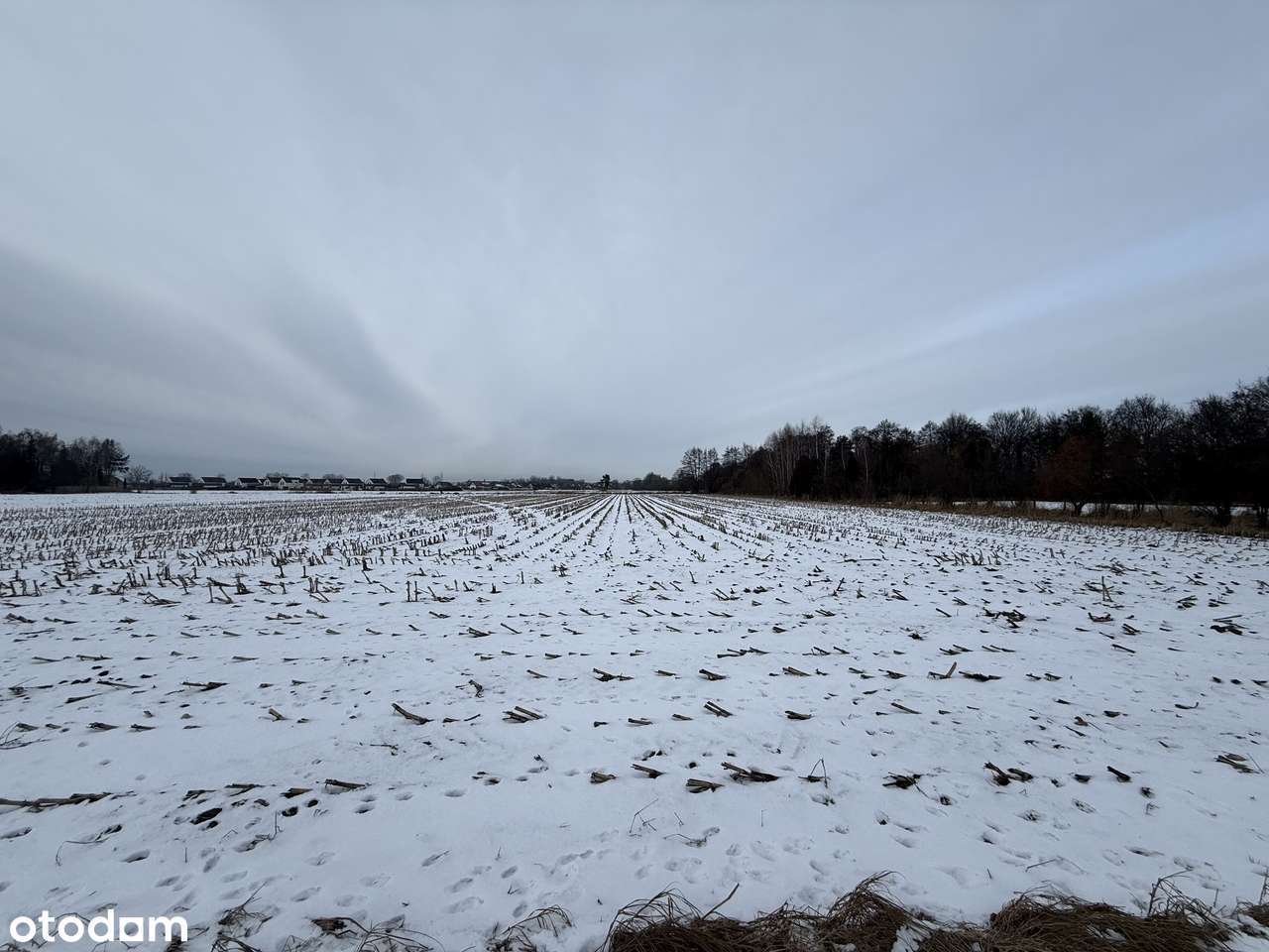 Na sprzedaż działka inwestycyjna – Rawicz - Folwark-3