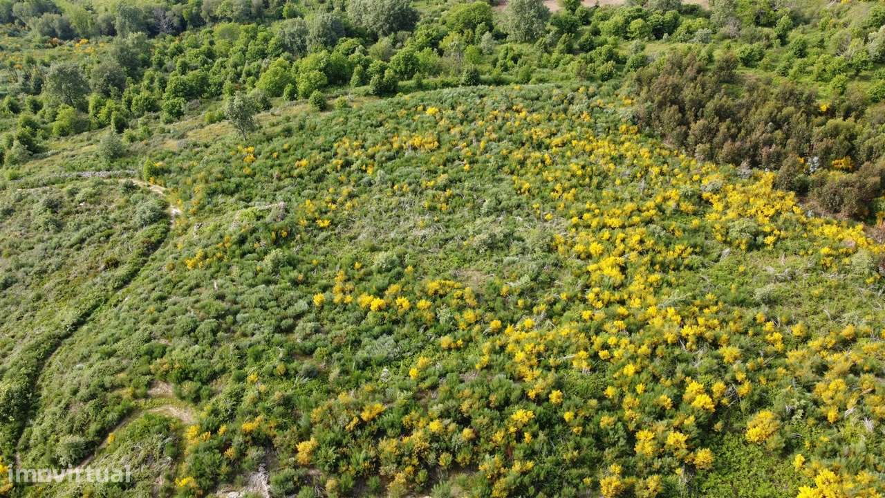 Quinta T0 Venda em Figueiró da Serra e Freixo da Serra,Gouveia-7