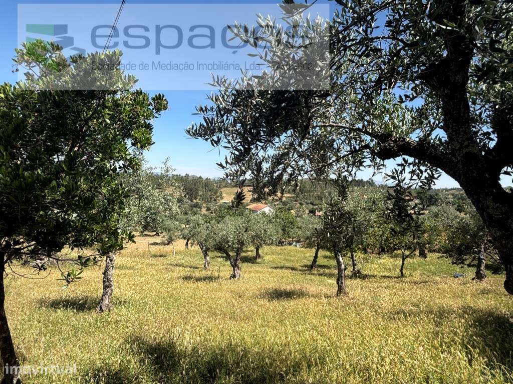 Terreno-4