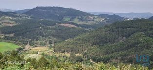 Terreno em Mafra de 8875,00 m2 - Grande imagem: 3/29