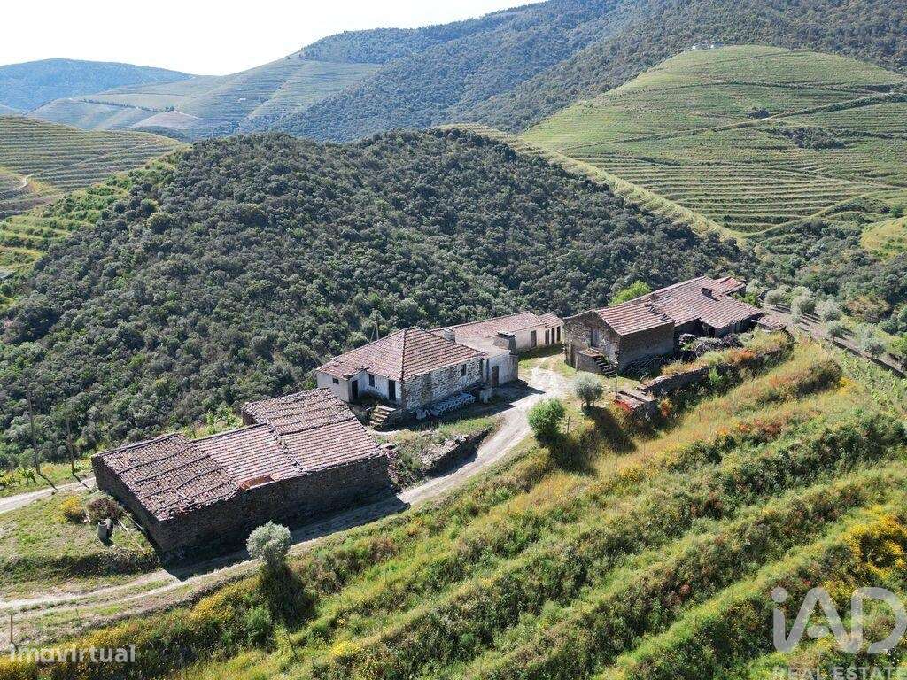 Quinta T2 em Ervedosa do Douro de 830 m2 - Grande imagem: 4/36