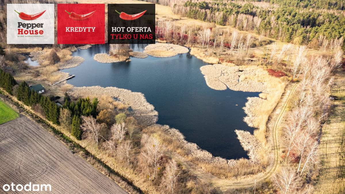 duża działka z własnym stawem i domkiem! - Pełny obrazek: 4/20
