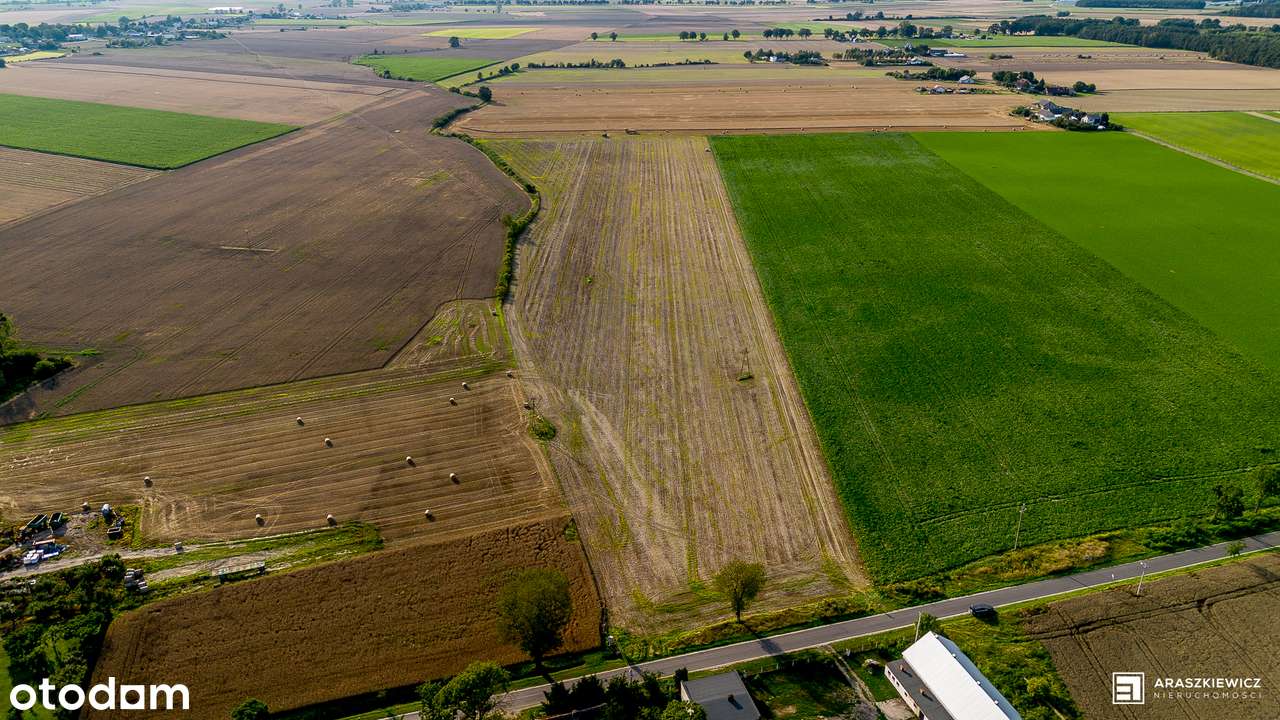 Działka 6,46 ha z mediami, drogą asfaltową i atrakcyjną lokalizacją! - Pełny obrazek: 4/20