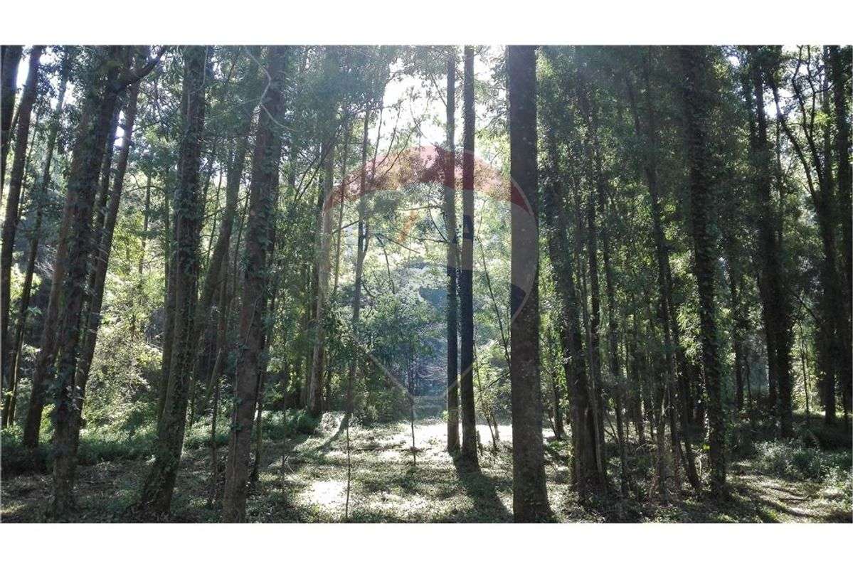 Terreno T0 para venda - Grande imagem: 2/6