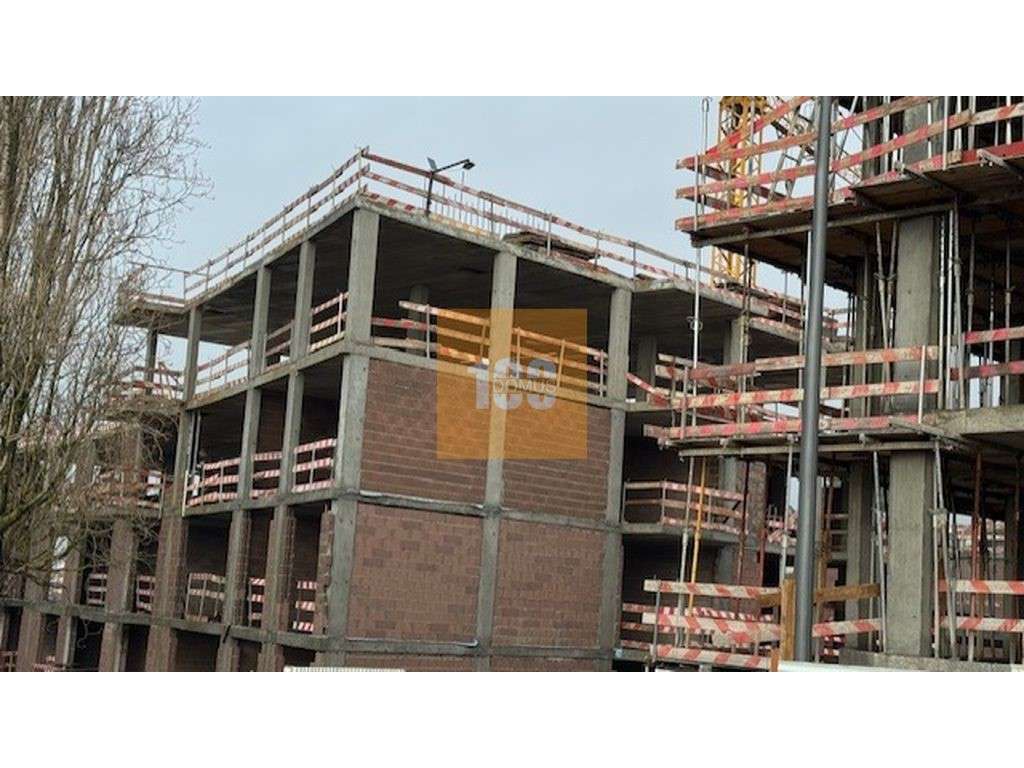 T1+1 novo em Canidelo, Gaia-6