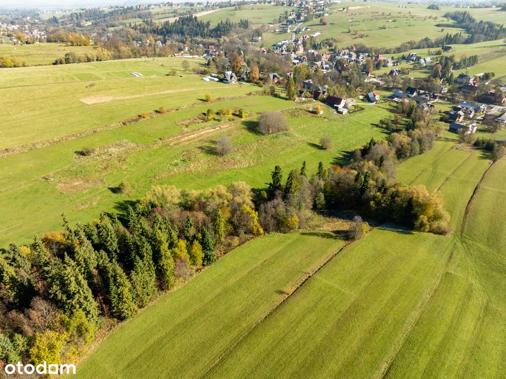 13/18284/OGS - Pełny obrazek: 4/5