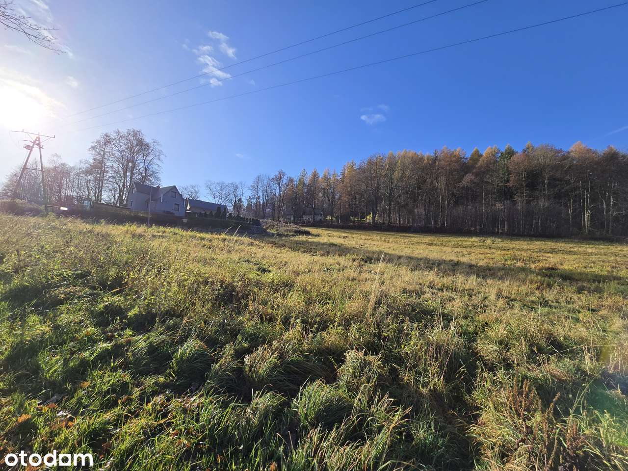 Budowlana działka 8900 m² w malowniczej wsi Staniszów-3