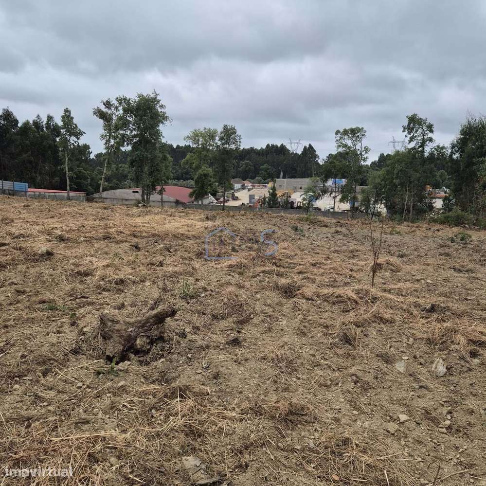 Terreno com 4.560 m² e Viabilidade de Construção – Casais, FZZ-10