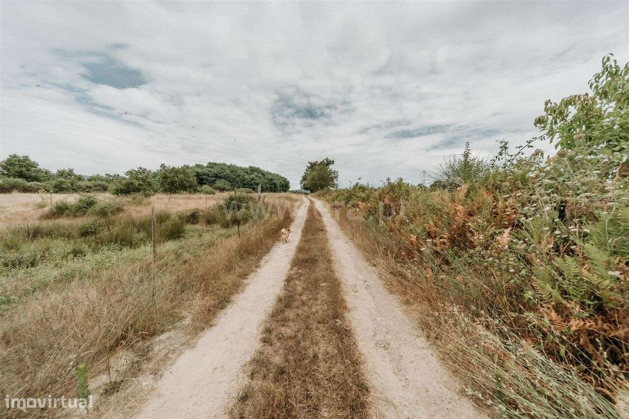 Quinta T3 / Covilhã, Peraboa - Grande imagem: 5/20