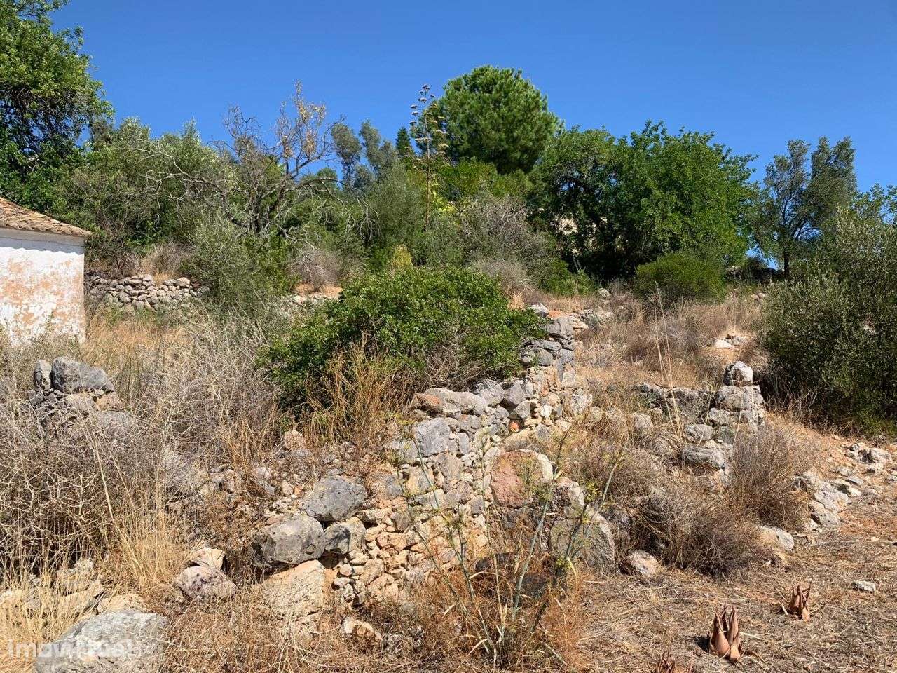 Terreno Urbano, com 3 artigos, Colmeal-11