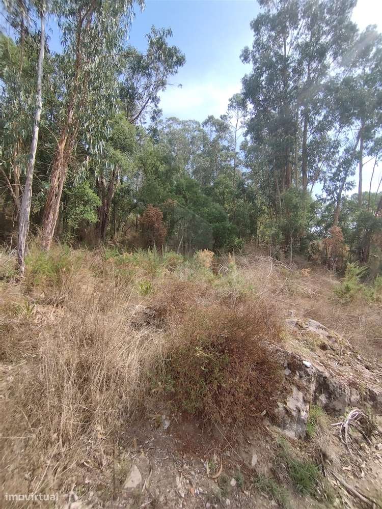 🏡 Terreno com Projeto para 2 Moradias - Grande imagem: 5/11