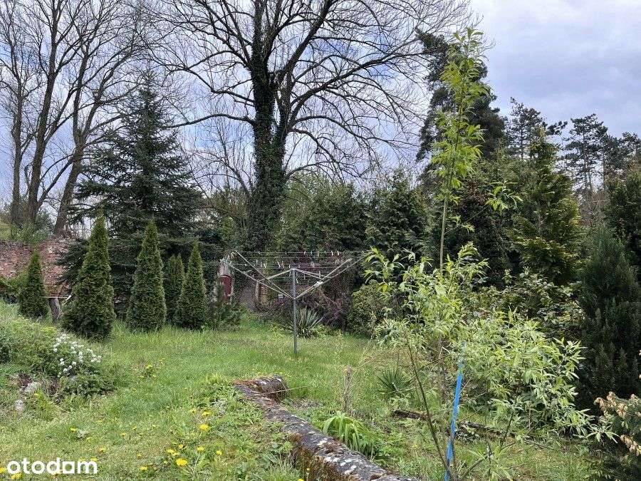 Posiadłość Nad Stawem Klasztorym - Pełny obrazek: 4/9