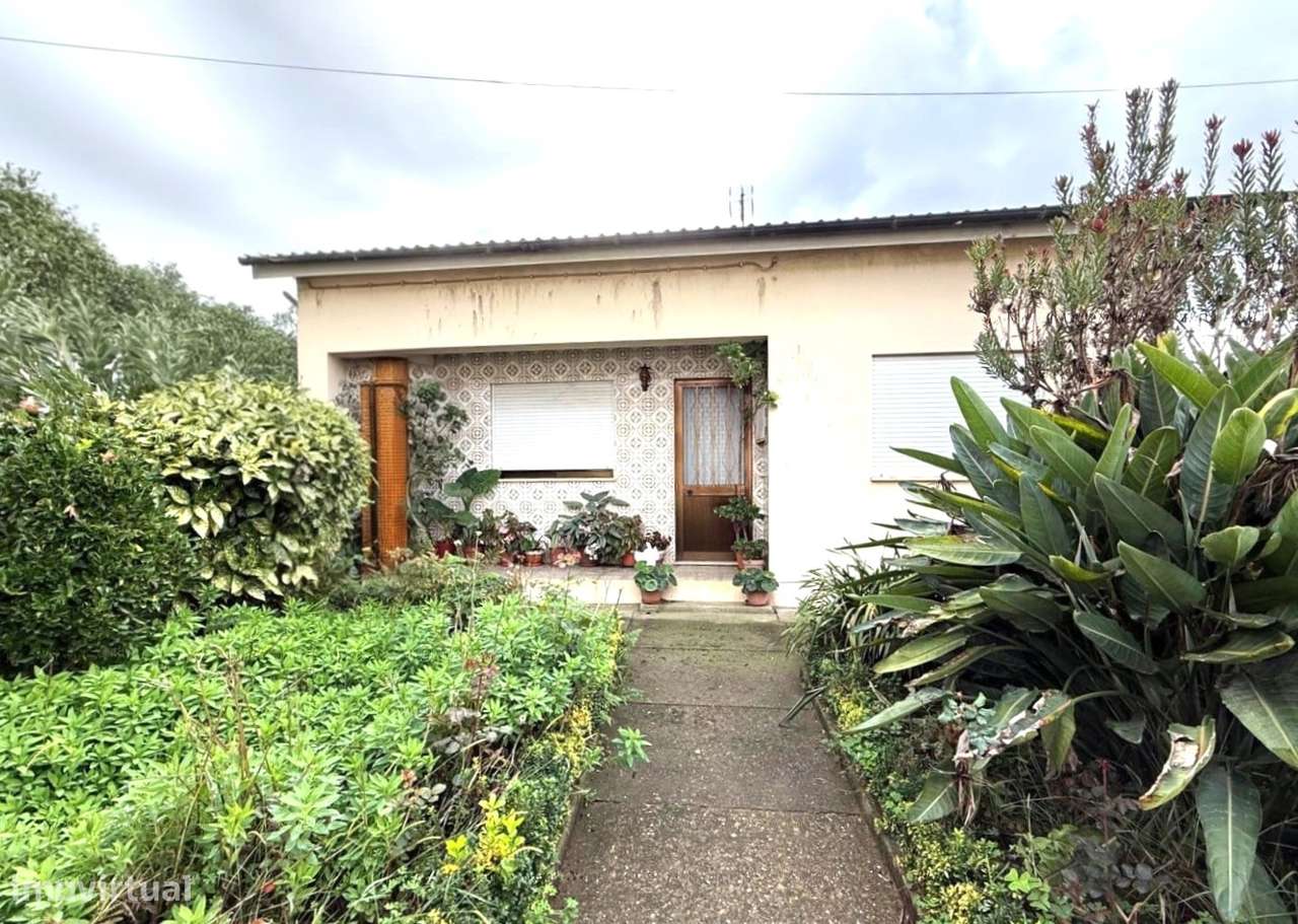 Moradia T3 térrea em São João de Ovar-11