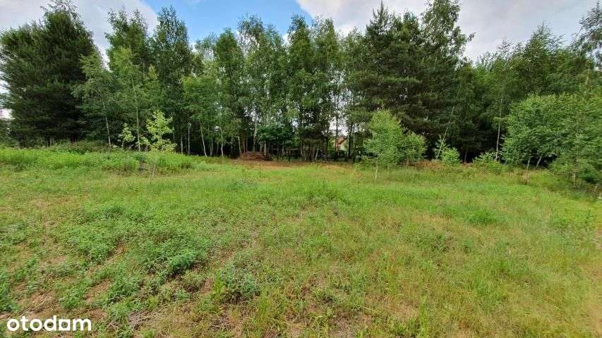 Działka, 1 350 m², Chotomów-1