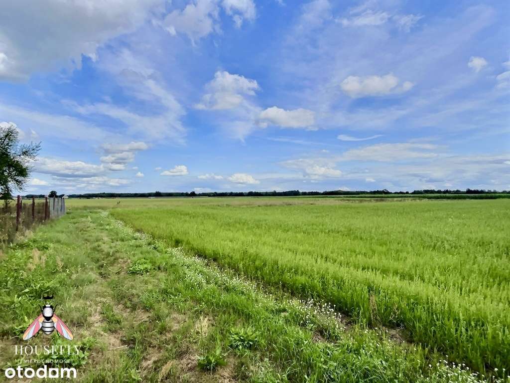 Działka Jesiona 32 ar - możliwość podziału - Pełny obrazek: 5/7