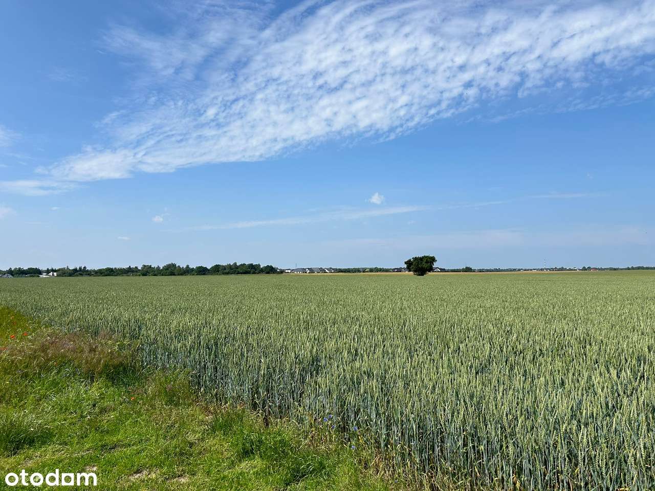 Działki budowlane pod budowę wymarzonego domu lub inwestycję, bez VAT! - Pełny obrazek: 4/7