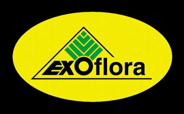 EXO-FLORA Galeria Ogrodnicza logo