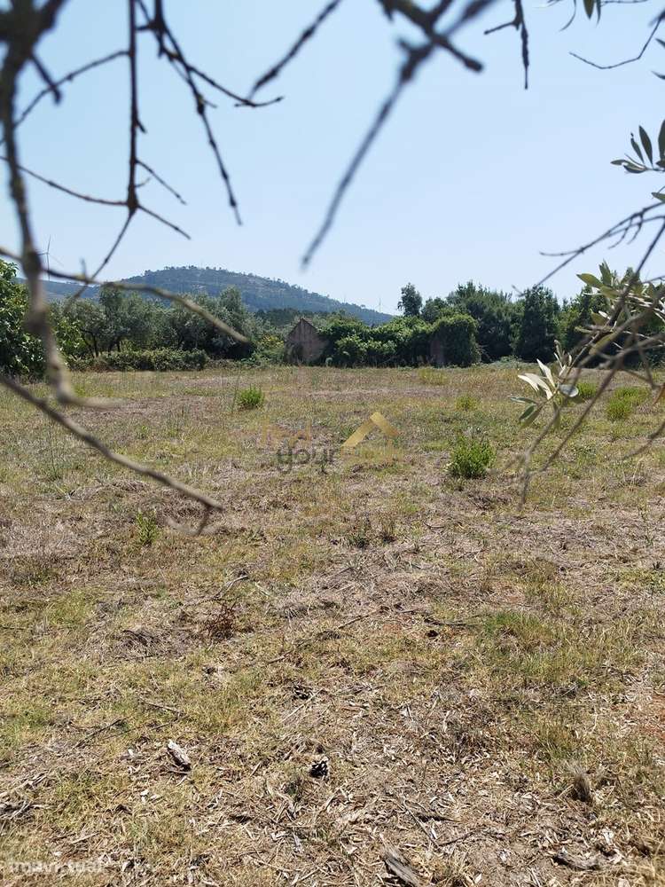 Terreno Urbano com 2.608m² em Moleanos - Grande imagem: 2/9