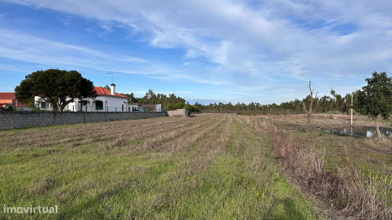 Terreno Urbano - Glória do Ribatejo - Grande imagem: 4/5