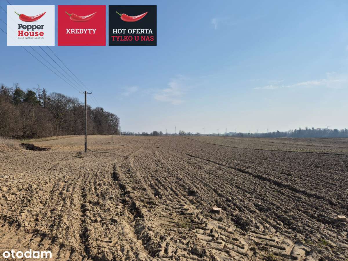 Zamieszkaj 3 km od Malborka, 3 min. Od rzeki Nogat - Pełny obrazek: 4/10