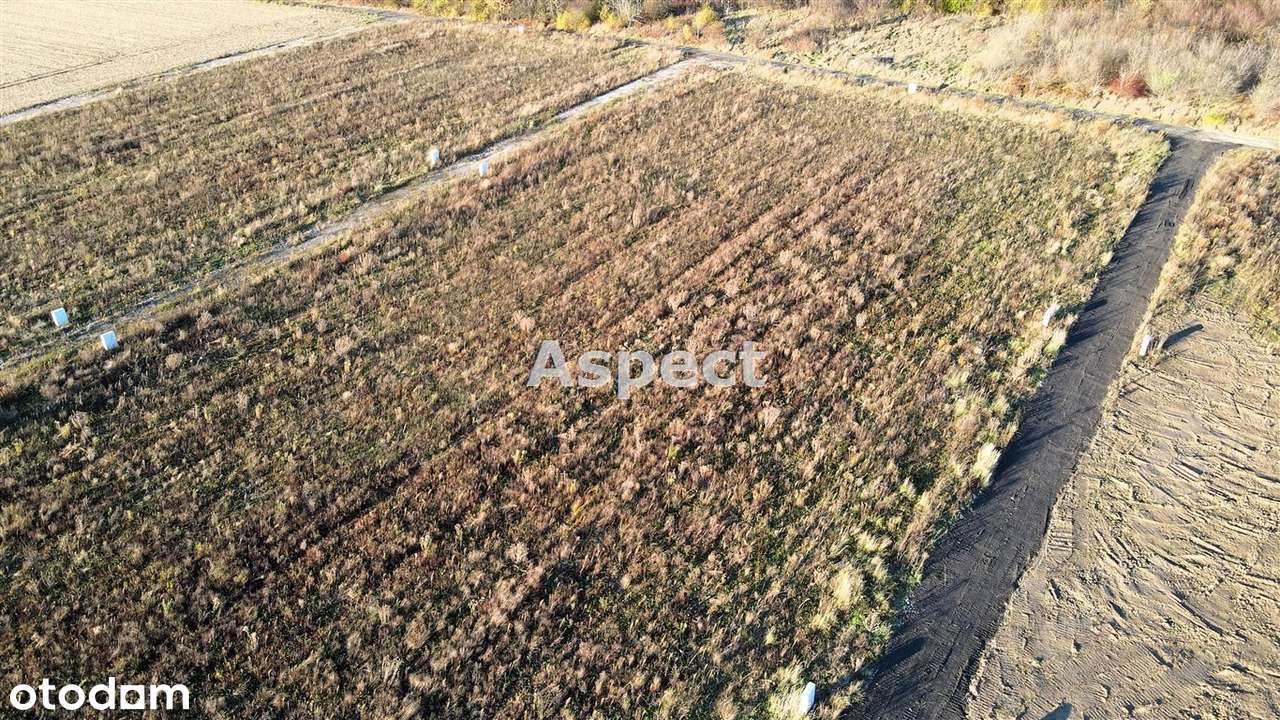Wejdź i poczytaj szczegóły - Pełny obrazek: 5/7