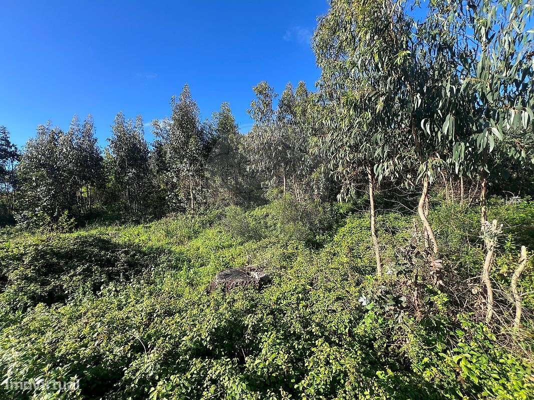 Terreno  para venda-8