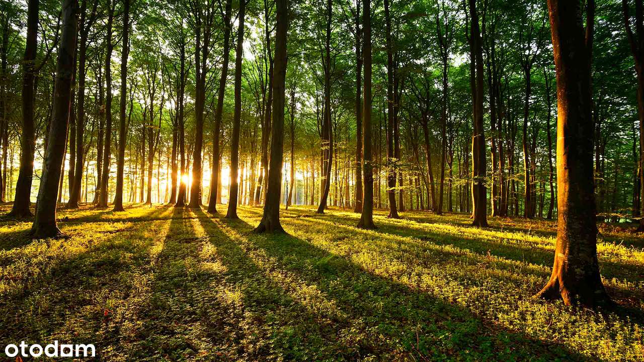 Jurajski Pensjonat Marzeń | Urok Przyrody i Komfort | 1 ha-19