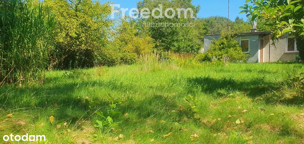 Duża działka budowlana z domkiem i sadem.-7