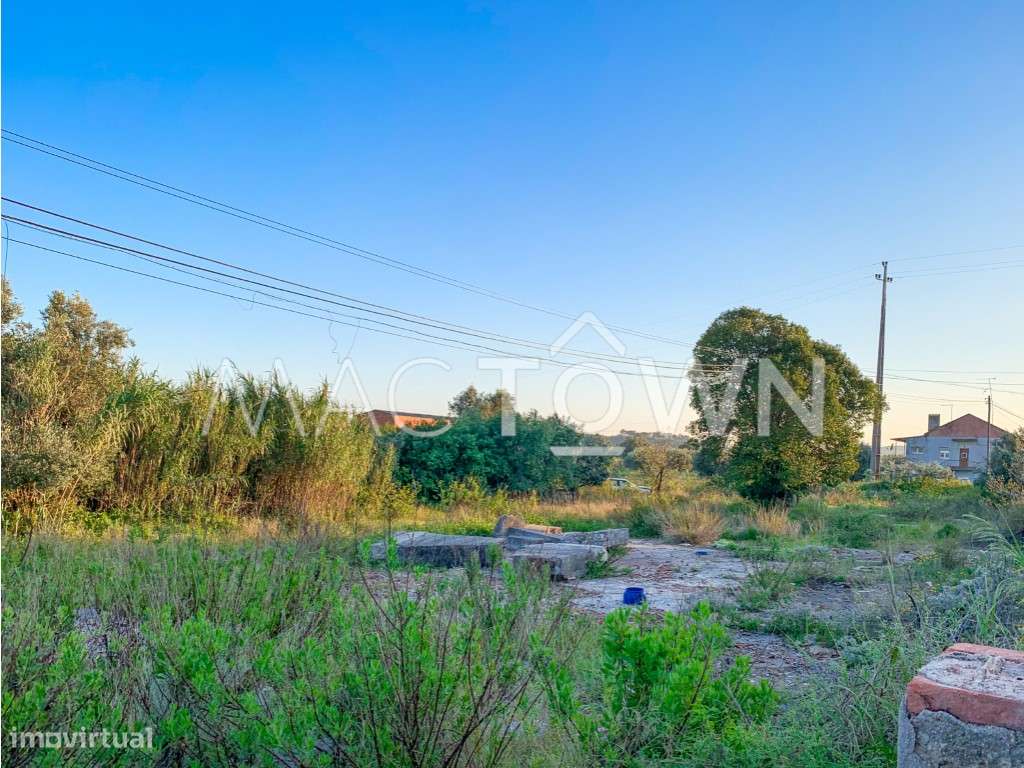 Imóvel Estratégico em Alcanena para Projeto Empresarial ou Residencial-24