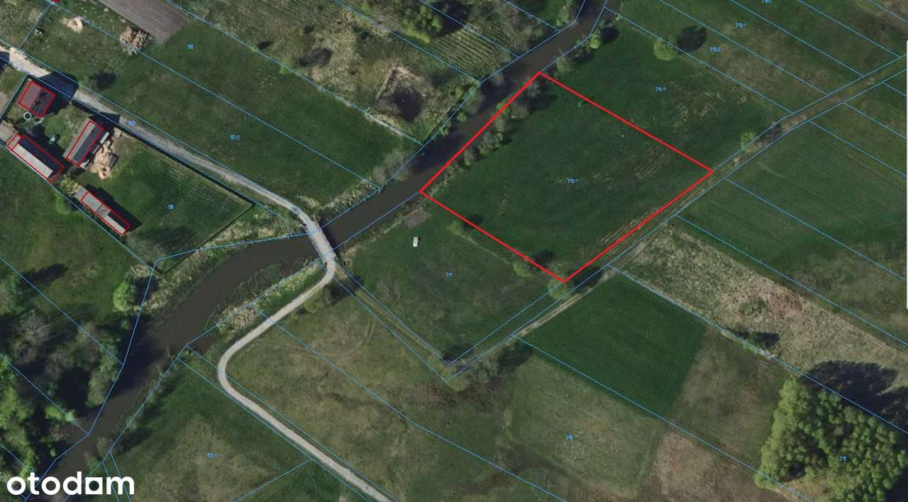 Piękna działka bezpośrednio nad rzeką Pilica m. Pukarzów - Pełny obrazek: 5/5