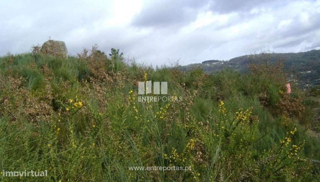 Venda Terreno, Tabuado, Marco de Canaveses - Grande imagem: 5/7