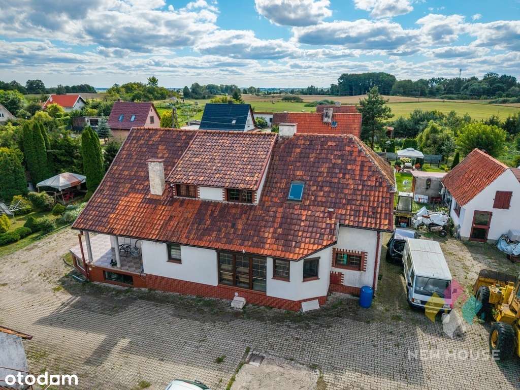 Nieruchomość pod działalność, duży utwardzony plac - Pełny obrazek: 4/20