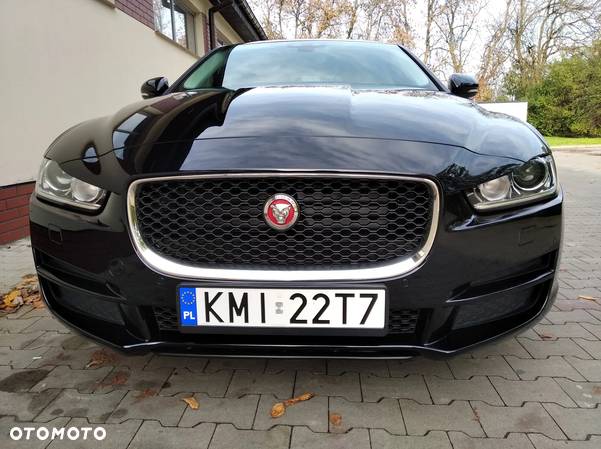 Jaguar XE - 14