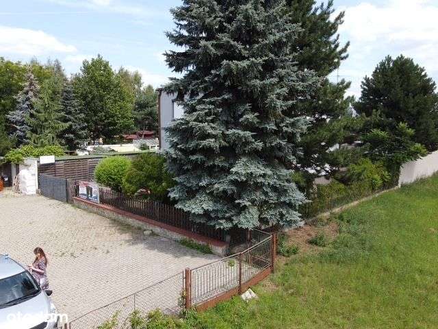 Dom z warsztatem pod działalność - Pełny obrazek: 3/17