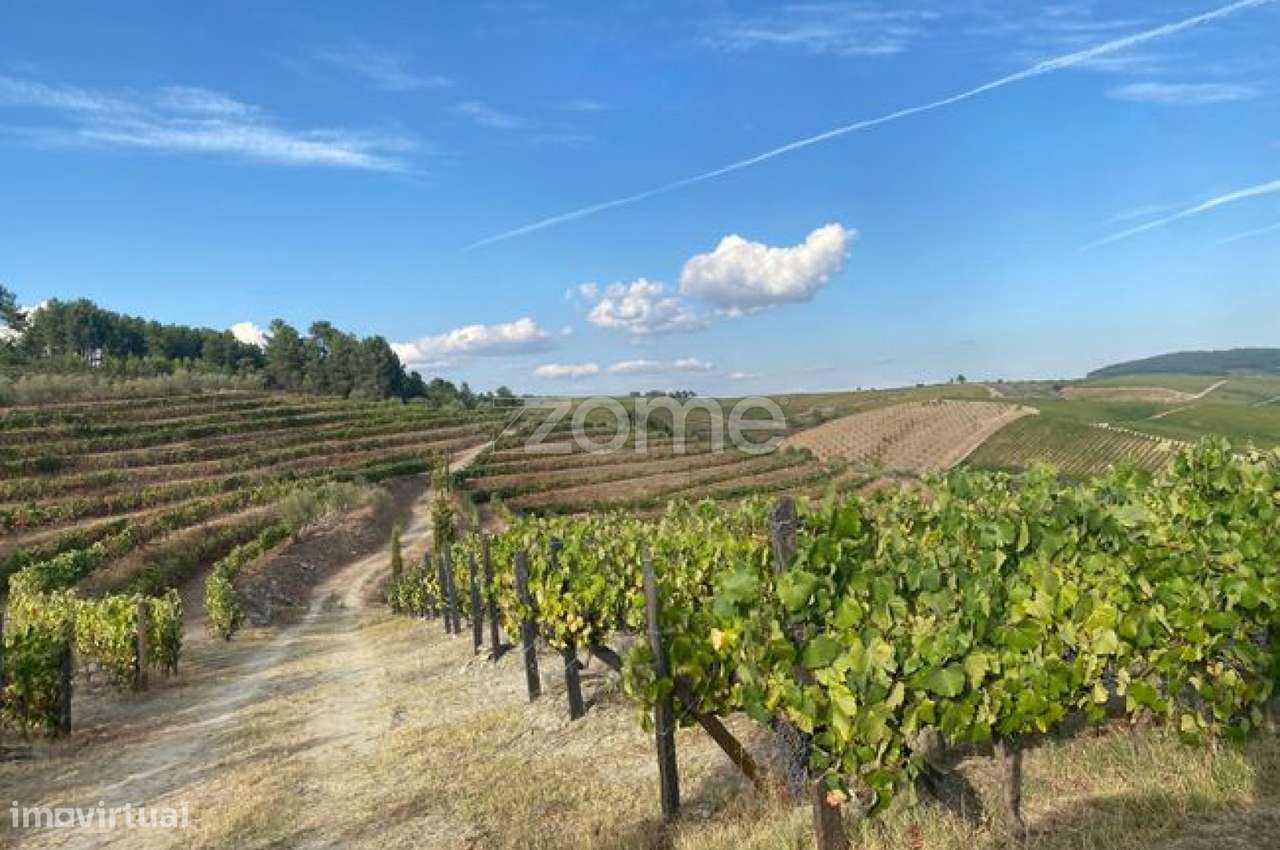 Terreno rústico com 23450 m² de área - Grande imagem: 2/11