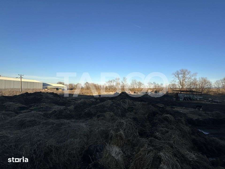 Vanzare hala Industriala cu teren intravilan de 650 mp in Ileni - Imagine principală: 2/2