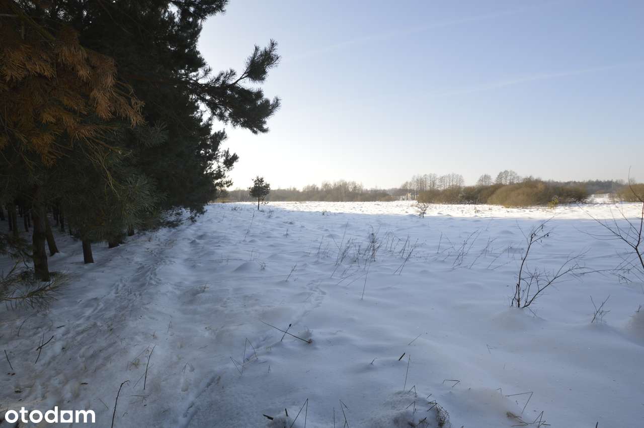 Działki na sprzedaż – Małe Radowiska, gm. Ryńsk-9