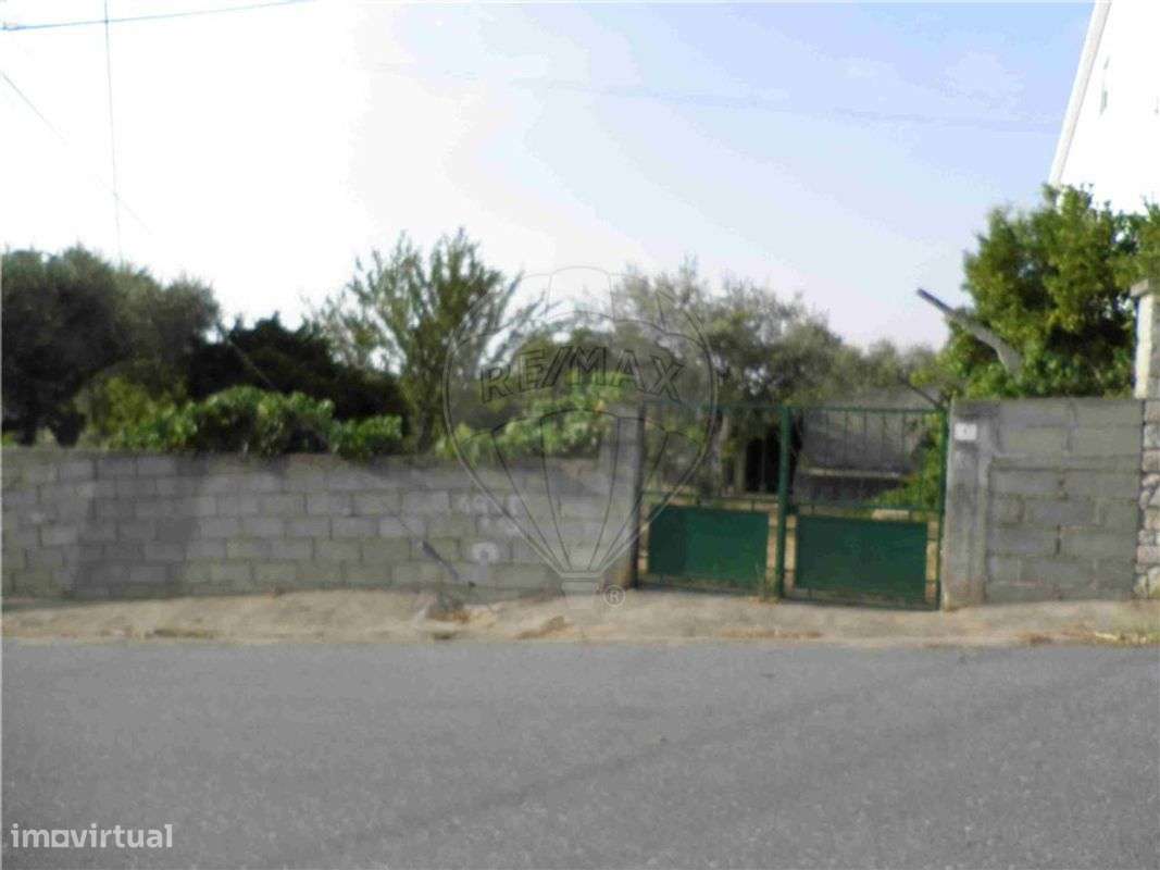 Quinta T0 para venda - Grande imagem: 2/40