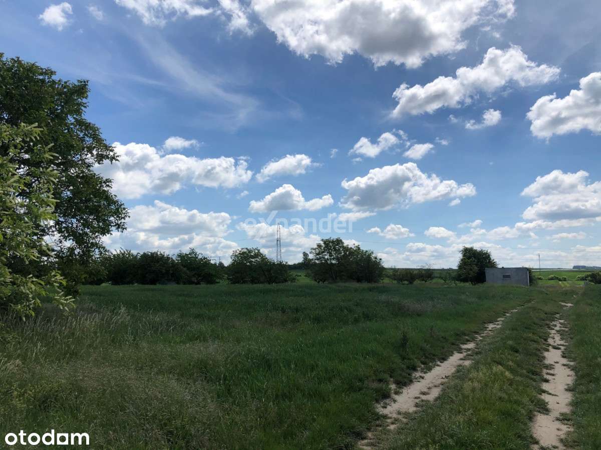 Mpzp | Działka budowlana | Głogów | okazja - Pełny obrazek: 4/7