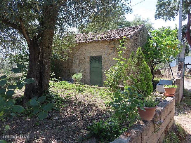 Quinta  para venda-1