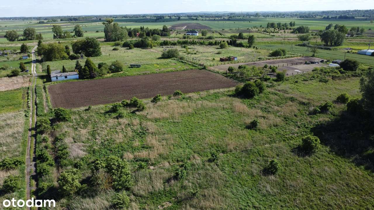 Duża działka Nad Starą Radunią - 13 min. od Centrum Gdańska - Pełny obrazek: 3/11