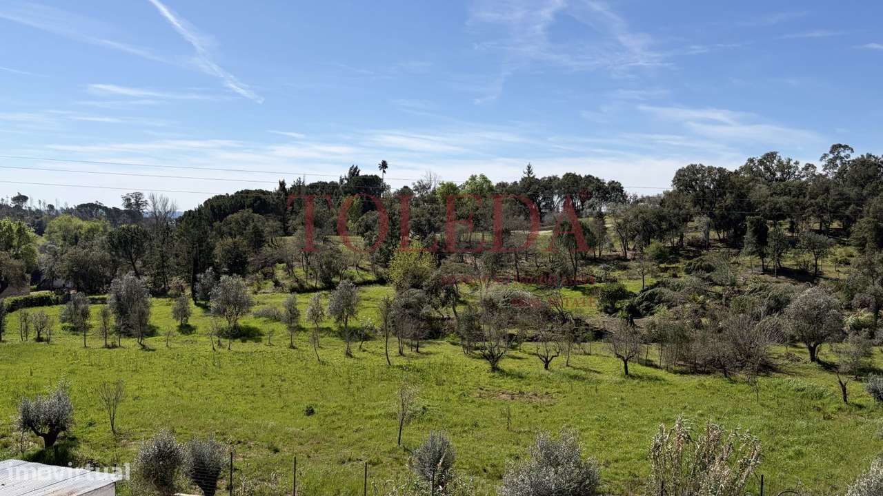 Quintinha em Tomar com 2 casas-36