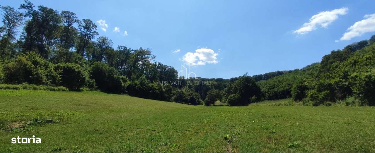 Teren de vanzare, 20.000Mp , Comuna Danes, drumul Crisului - Imagine principală: 5/19